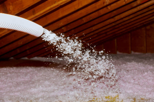 Best Fiberglass Insulation in Sterling, AK