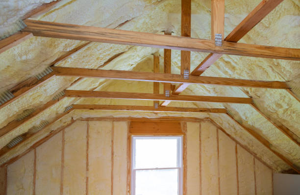 Best Spray Foam Insulation in Sterling, AK