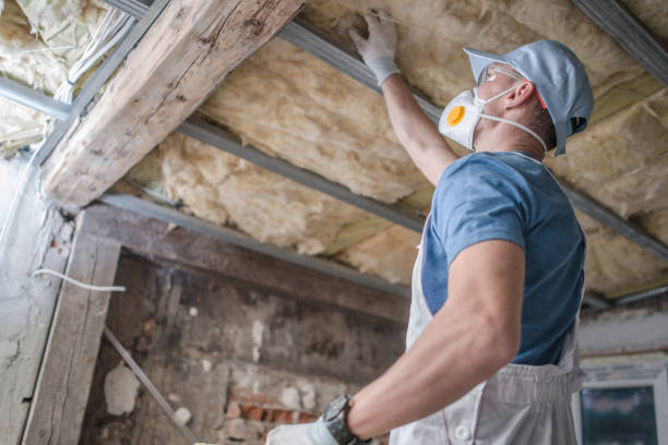 Best DIY Insulation Kits and Guidance in Sterling, AK